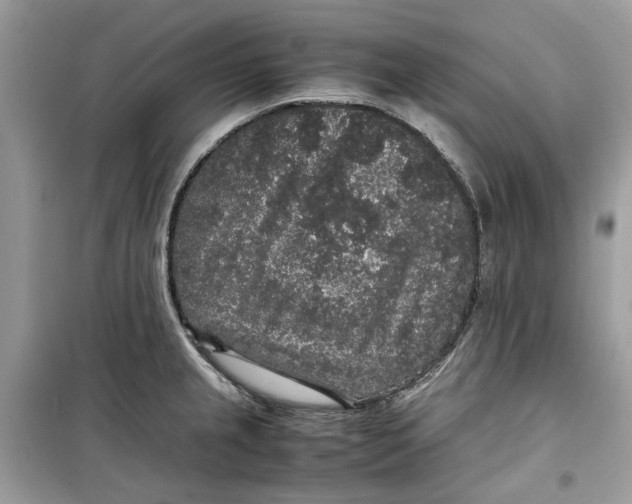 X0000099291237200805231314