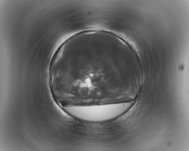 X0000099291239200805231314