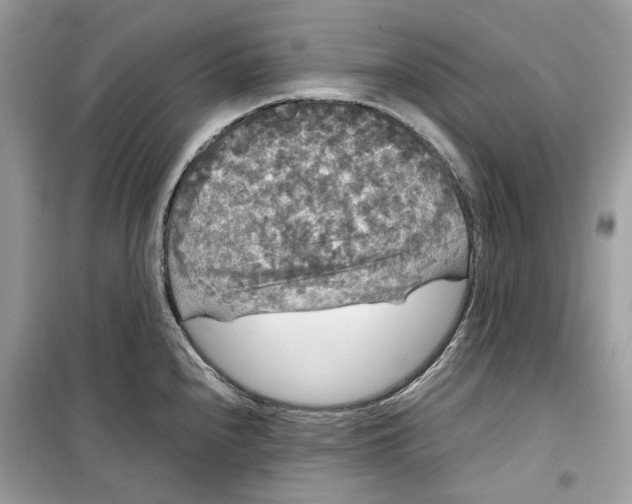 X0000099291240200805231314