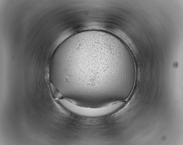 X0000099291241200805231314