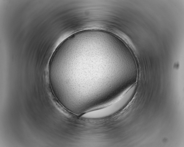 X0000099291242200805231314