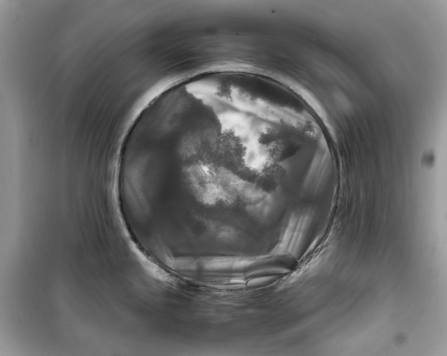 X0000099291245200805231314