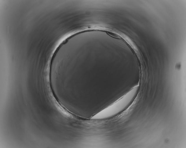 X0000099291246200805231314