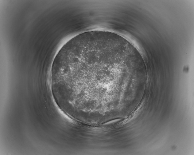 X0000099291247200805231314