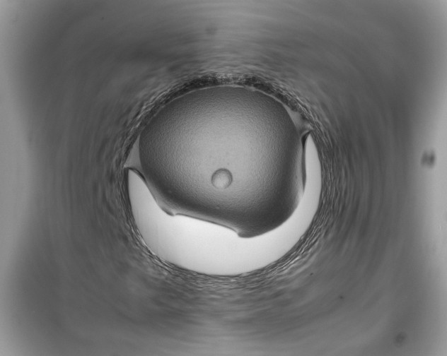 X0000099291249200805231313