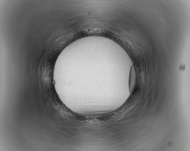 X0000099291250200805231313