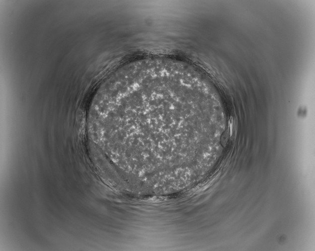 X0000099291251200805231313