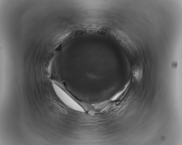 X0000099291252200805231313