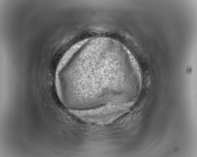 X0000099291253200805231313