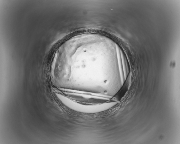 X0000099291255200805231313