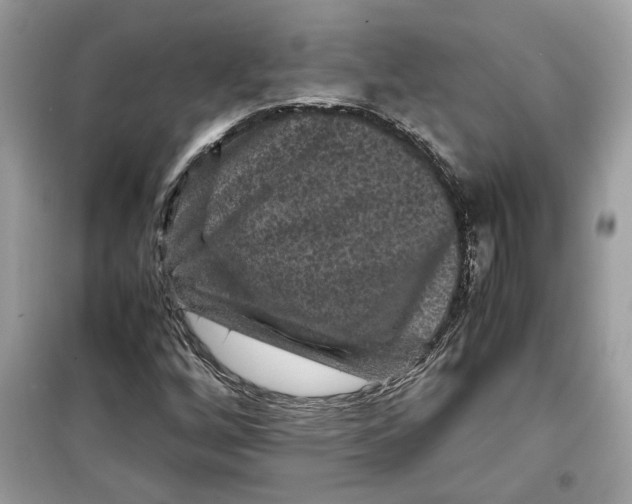 X0000099291256200805231313