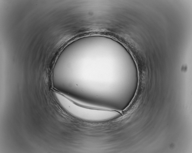 X0000099291257200805231313