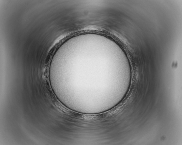 X0000099291258200805231313