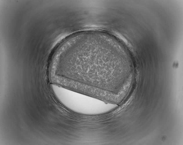 X0000099291259200805231313