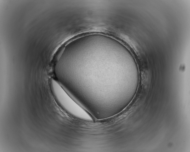 X0000099291260200805231313