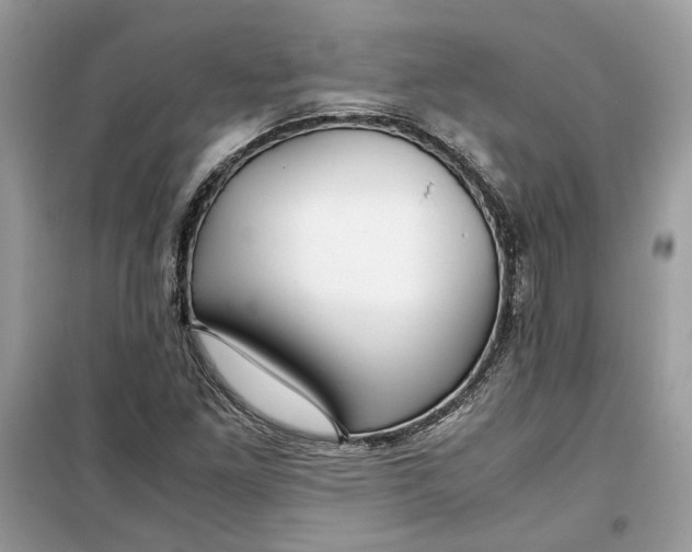 X0000099291261200805231313