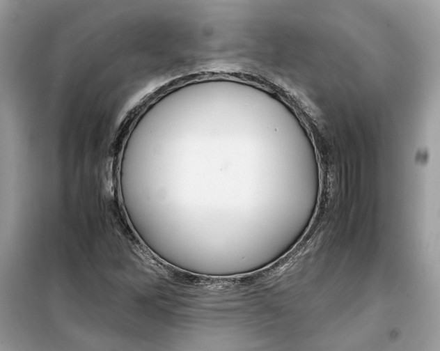 X0000099291262200805231313