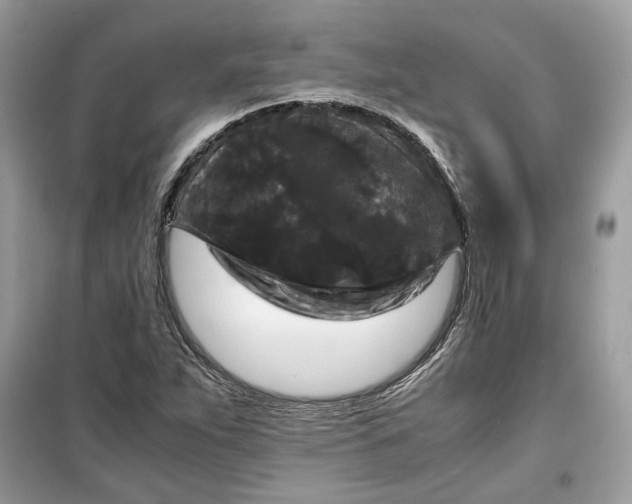 X0000099291263200805231313