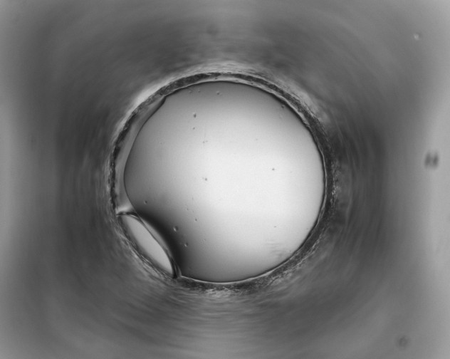 X0000099291264200805231313