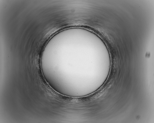 X0000099291265200805231313