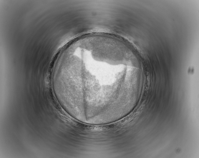 X0000099291266200805231313