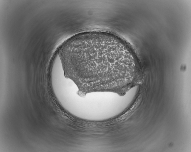 X0000099291267200805231313