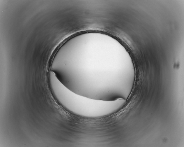 X0000099291268200805231313