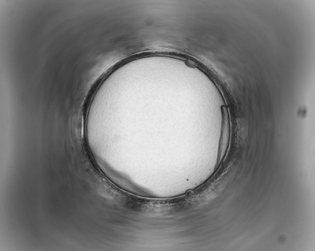 X0000099291269200805231313