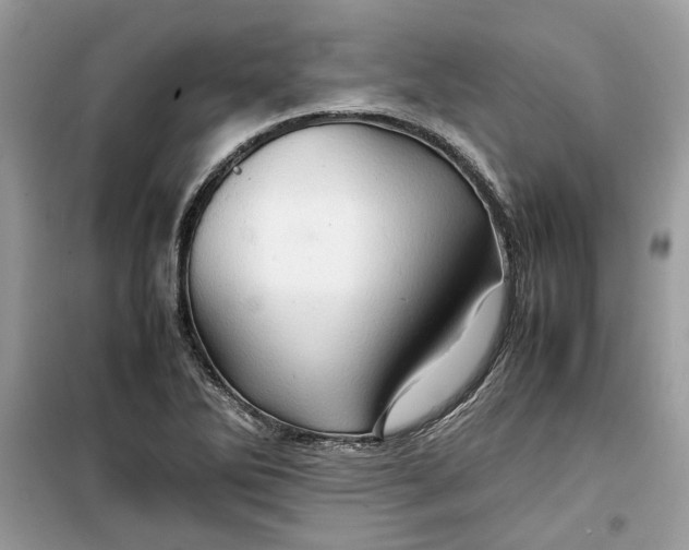 X0000099291270200805231313