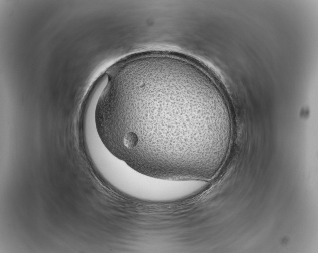 X0000099291271200805231313