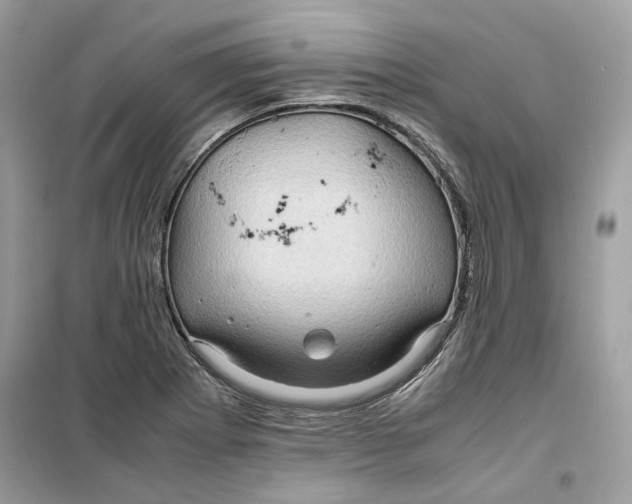 X0000099291273200805231313