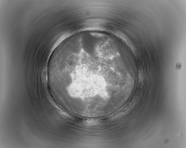 X0000099291274200805231313