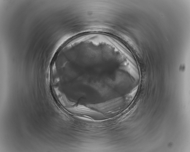 X0000099291275200805231313