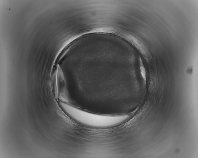 X0000099291276200805231313