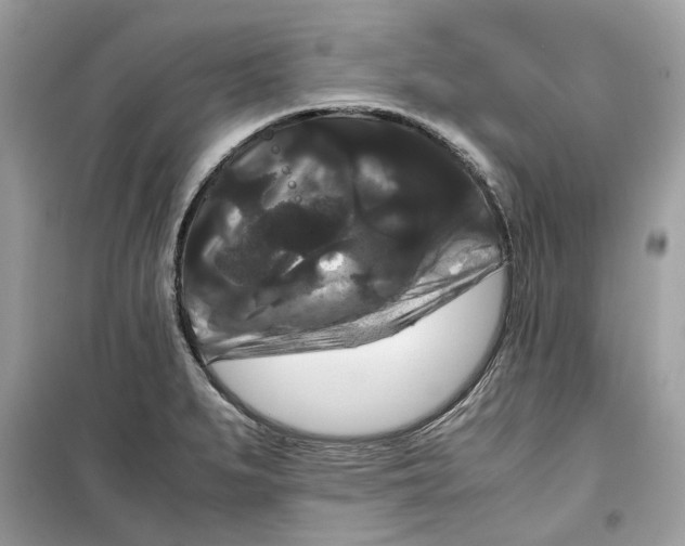 X0000099291279200805231313