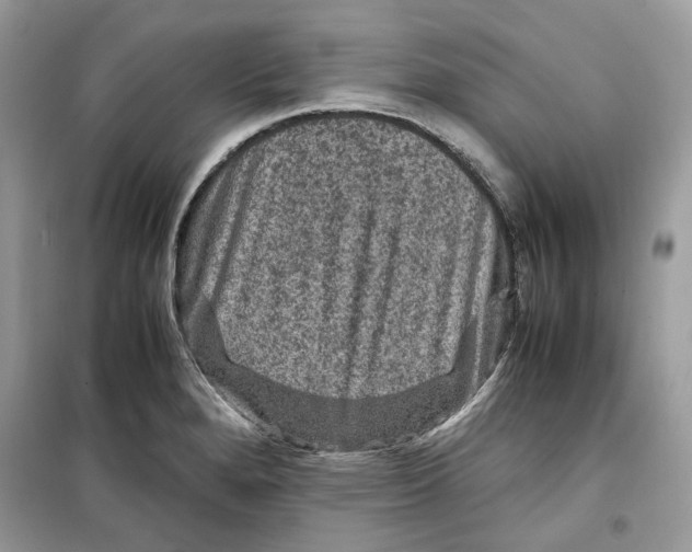 X0000099291280200805231313