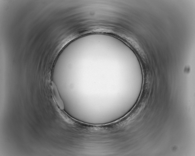 X0000099291281200805231313