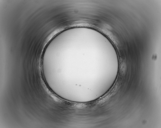 X0000099291282200805231313