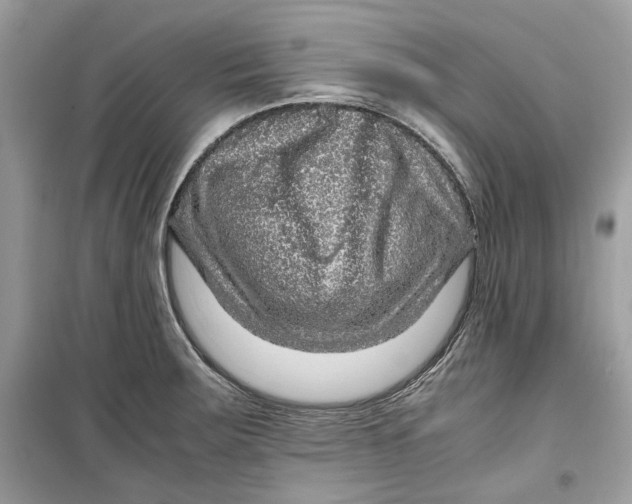 X0000099291283200805231313