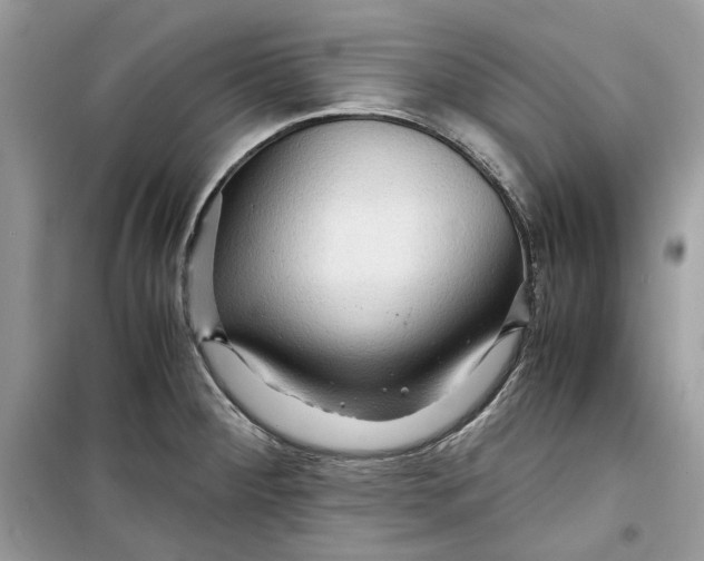 X0000099291284200805231313