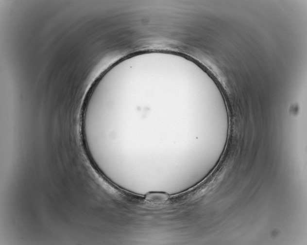 X0000099291285200805231313