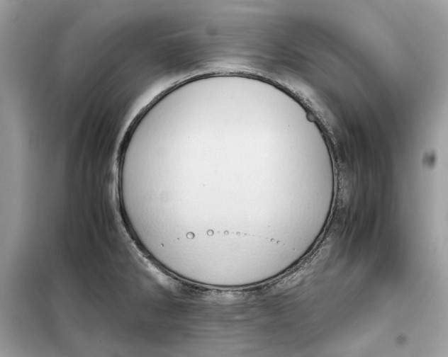 X0000099291286200805231313