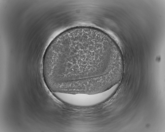 X0000099291287200805231312