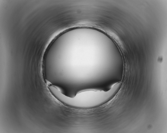 X0000099291288200805231312