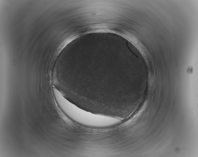 X0000099291289200805231312