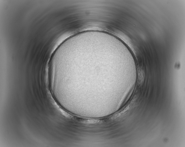 X0000099291290200805231312