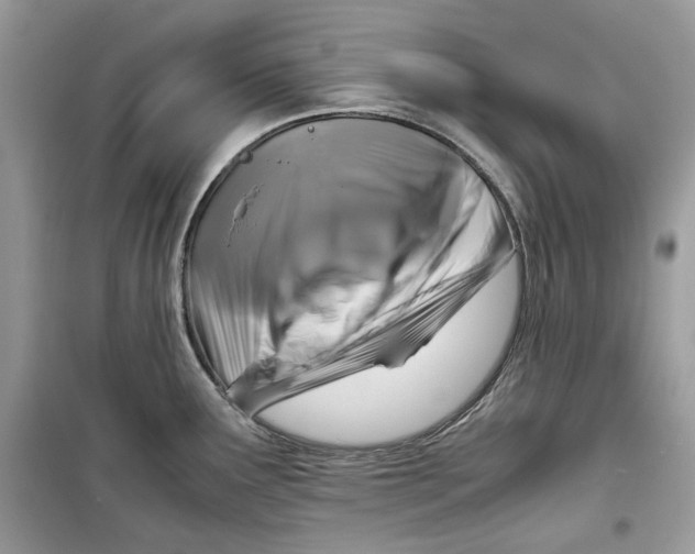 X0000099291291200805231312