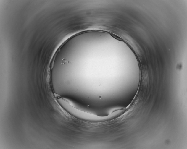 X0000099291292200805231312