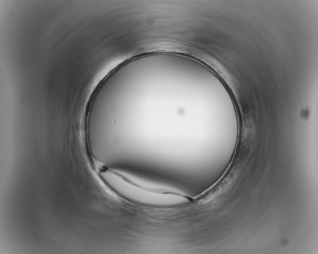 X0000099291293200805231312