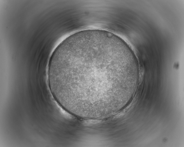 X0000099291294200805231312